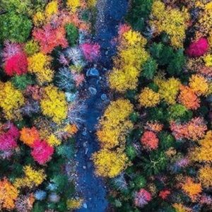 Meet your Posher, Karma